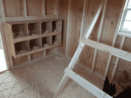 Chicken Coop Montana